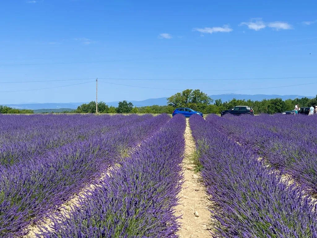Travel photo captured during an outdoor journey