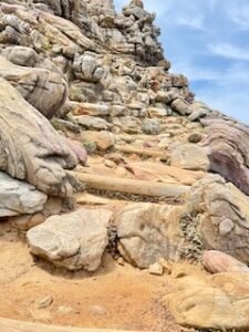 Hill's steps were easier going up