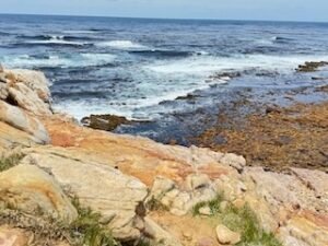 Vistas at Cape of Good Hope