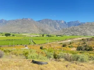 Beautiful reserve