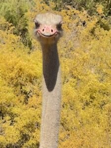 whatcha looking at???