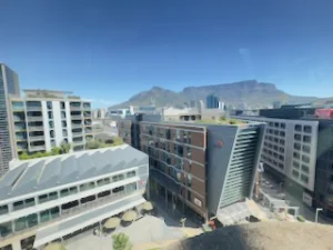 View from terrace