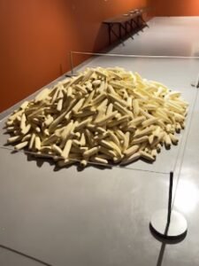 what the hell is this?