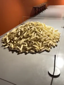 what the hell is this?